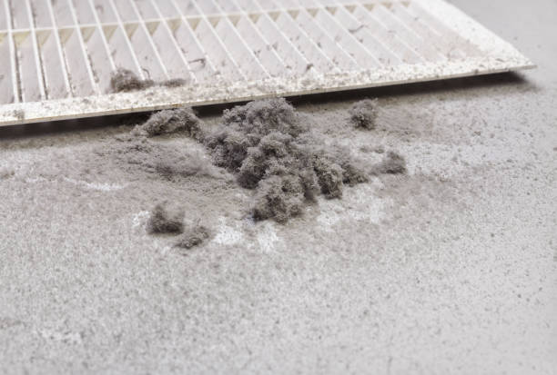 Best Local Air Duct Cleaning Services  in Eagle Pass, TX