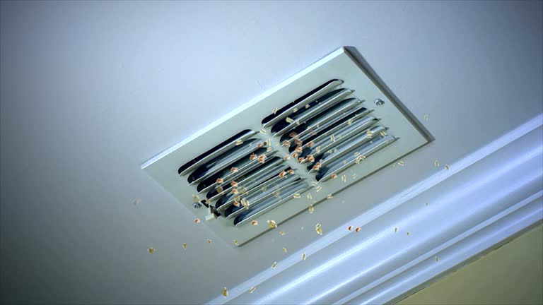 Best Commercial Air Duct Cleaning  in Eagle Pass, TX