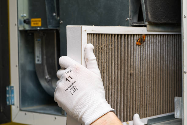 Best Emergency Air Duct Cleaning  in Eagle Pass, TX