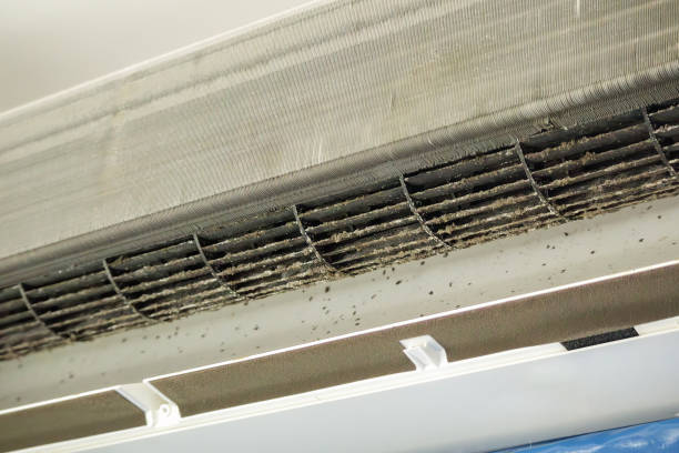 Best Air Duct Cleaning Near Me  in Eagle Pass, TX
