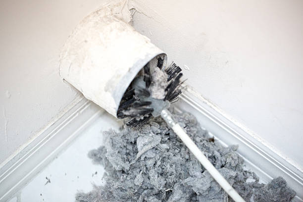Best Professional Duct Cleaning Services  in Eagle Pass, TX